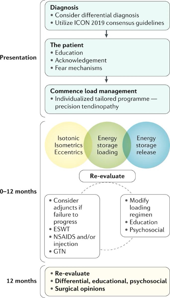 Management of “Tendinopathy”

Key components:

/Early diagnosis is key
/Patient-centred &amp; personalised approach
/Education on the disease process
/Appreciation of fear mechanisms
/Individualised &amp; tailored loading programme

#tendon #tendinopathy 

nature.com/articles/s4157…