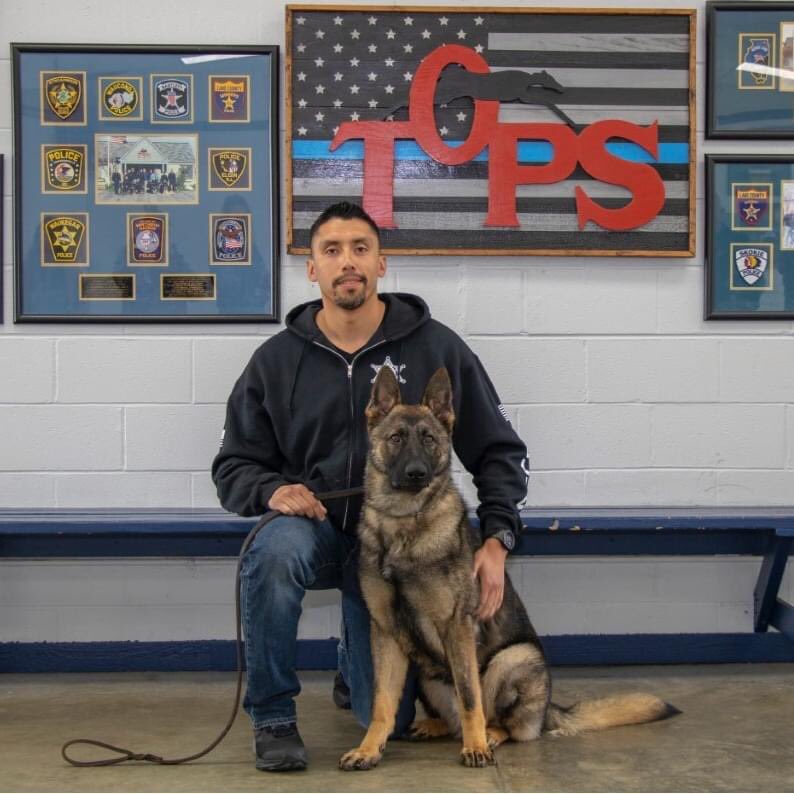 Waukegan_Police's tweet photo. Say hello to the newest four-legged member of WPD!
K9 Milo is a 13 month old German Shepherd that began training this week for a career in law enforcement with his partner, Ofc Cardenas.
#WaukeganPolice #PoliceK9 #Waukegan #ThankYou #K9Milo https://t.co/GOT9Z3iQGV