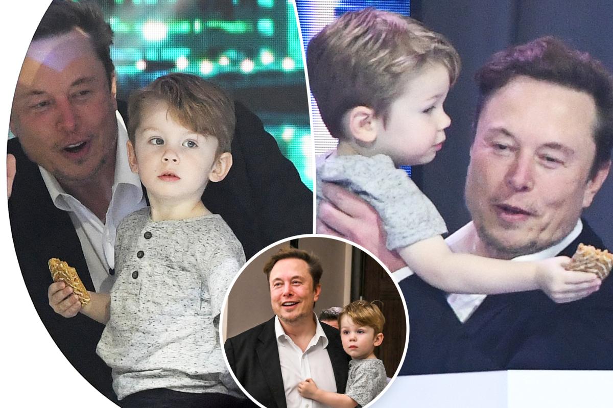 Page Six on Twitter "Elon Musk adorably plays with his, Grimes