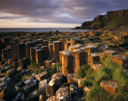 Tues 25 April 7pm - Book now for our new webinar series. Dr Cliff Henry Nature Engagement Officer @GCausewayNT @NationalTrustNI provides insight into the less well known nature and culture of this fascinating #UKWorldHeritage site Tickets available here: bit.ly/3ooLDua