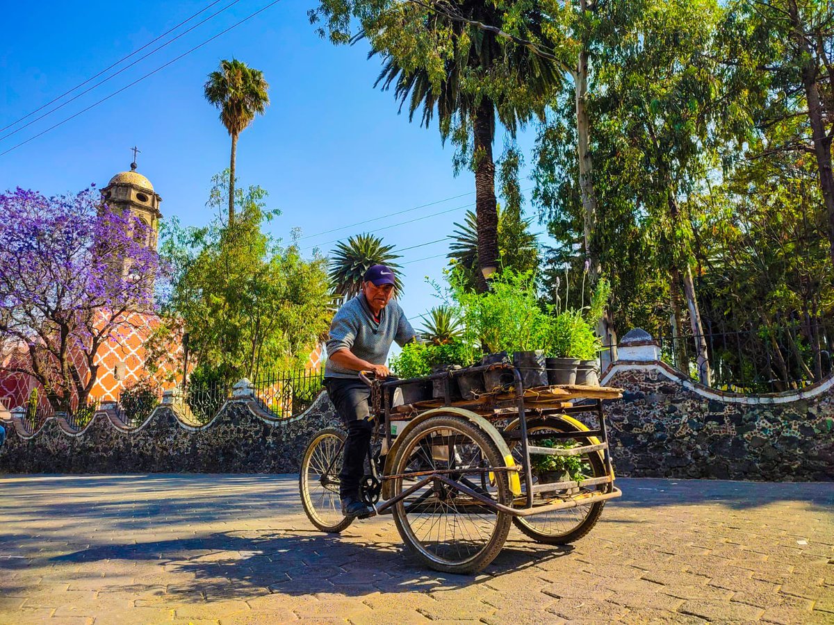 bitlamx's tweet photo. #DíaMundialdelaBicicleta 🚲

En #Tláhuac celebramos esta fecha muy especial para tod@s los ciclistas, en #Bitla rendimos un homenaje a este vehículo, ecológico y económico que es utilizado por millones de personas.

#PuebloBicicletero #CiclistadeBarrio #BicicTláhuac #BitlaMX https://t.co/ZiYvP0YjWq
