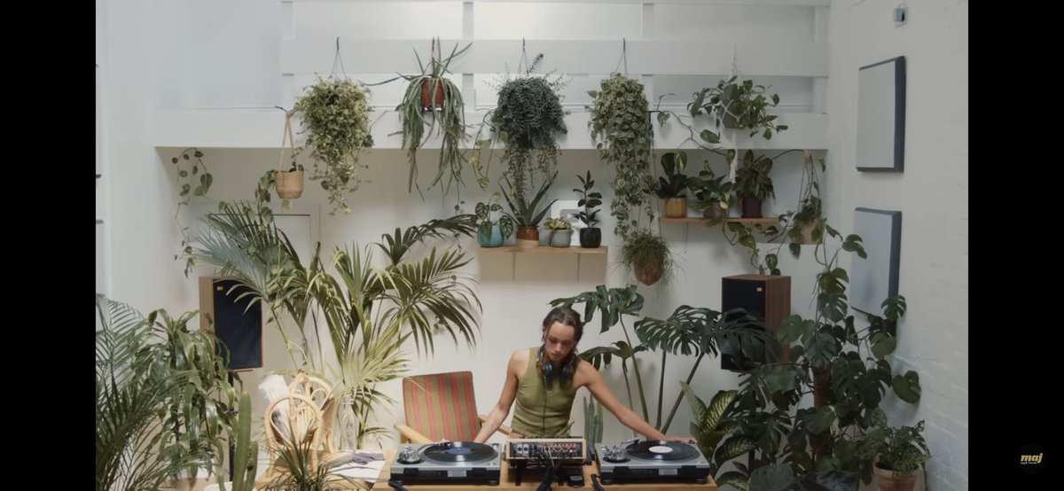 ChillQilin tweet media