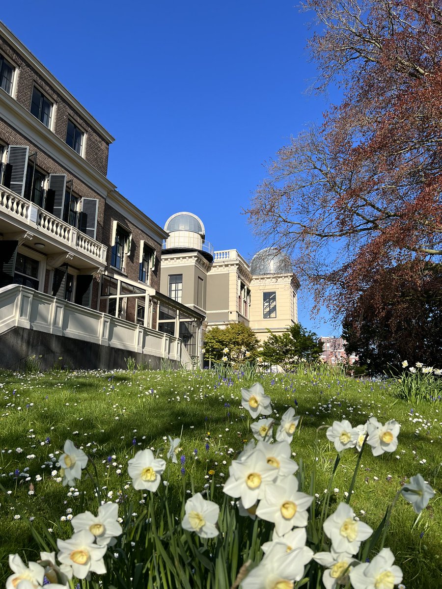 Alex Geurds tweet media