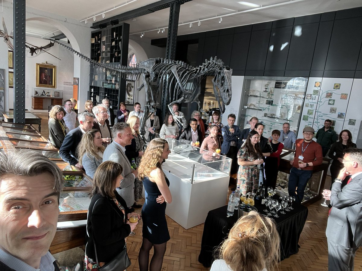 Alex Geurds tweet media