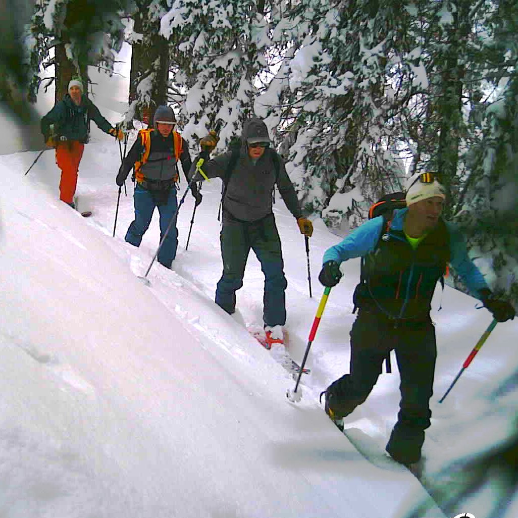 RE: Cardiff Fork
"I personally don't believe there should be any private property in the CC's so they're not getting any sympathy from me."  Shyan Salkhordeh
#WeLoveCardiff #BackCountry #BackCountrySkiing #WasatchBackCountry #CardiffCanyon #Snowshoeing