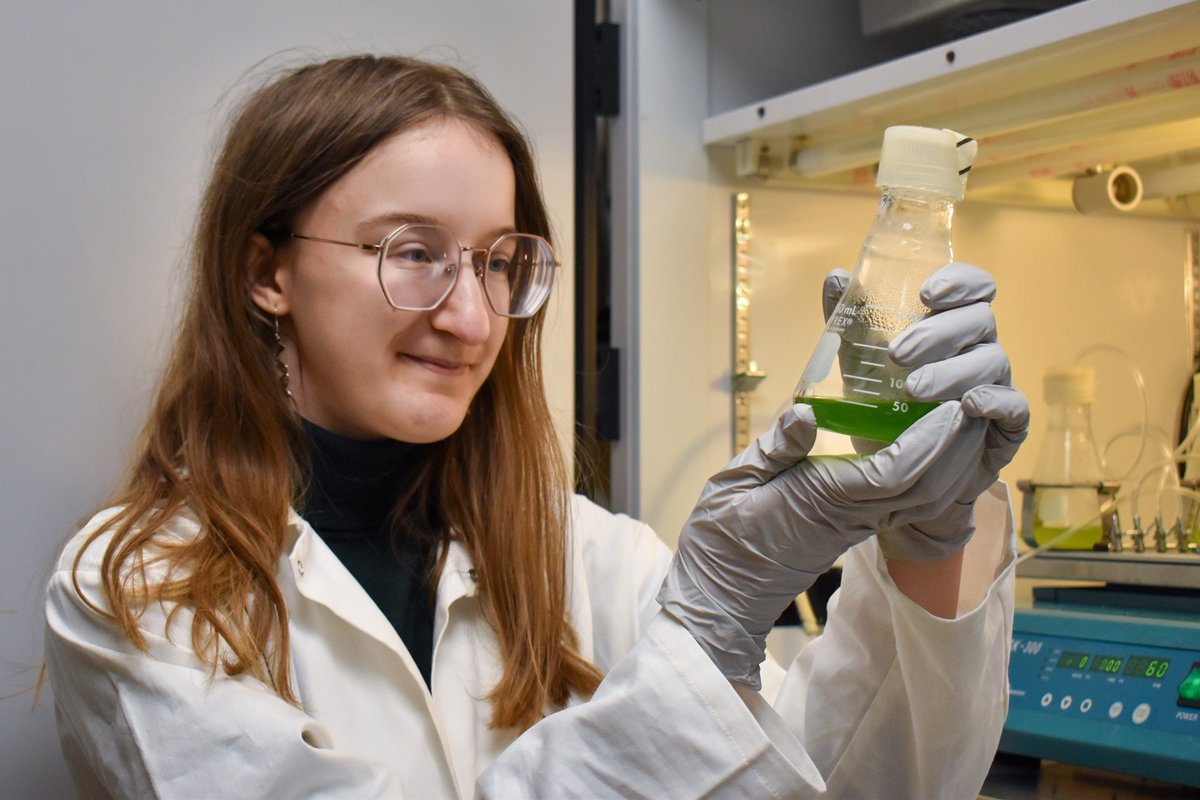 DOE Office of Science (@doescience) on Twitter photo An acidic volcanic hot springs doesn't sound like fun. But it's home sweet home for one extremophilic alga. <a href="/MSUDOEPlantLab/">MSU-DOE Plant Research Laboratory</a> researchers <a href="/michiganstateu/">MSU</a> studied a process that helps it survive & what it reveals about how photosynthetic organisms adapt: prl.natsci.msu.edu/news-events/ne… An acidic volcanic hot springs doesn't sound like fun. But it's home sweet home for one extremophilic alga. <a href="/MSUDOEPlantLab/">MSU-DOE Plant Research Laboratory</a> researchers <a href="/michiganstateu/">MSU</a> studied a process that helps it survive & what it reveals about how photosynthetic organisms adapt: prl.natsci.msu.edu/news-events/ne…