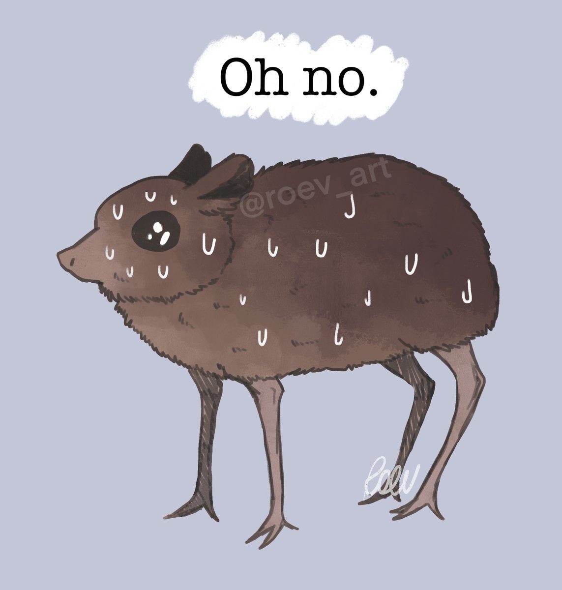 In a past life, I was probably a chevrotain