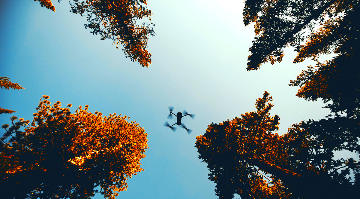 IEEE_EMCS's tweet photo. #EMCinRealLife๐โ๏ธ๐น
Look! Up in the sky! It's a bird! It's a plane! It's a ... drone? Tom Braxton (@EliteTest + @IEEE_EMCS) discusses the effects of #EMI on the latest #wireless devices to populate our firmament: https://t.co/KjgJhSZtnI
๐ท @OurPPA @unsplash @Pixpa
#drones https://t.co/b5wUqEbE4o
