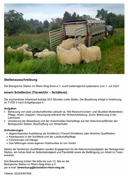 #Schäfer oder #Schäferin im #Naturschutz gesucht...#Stellenausschreibung