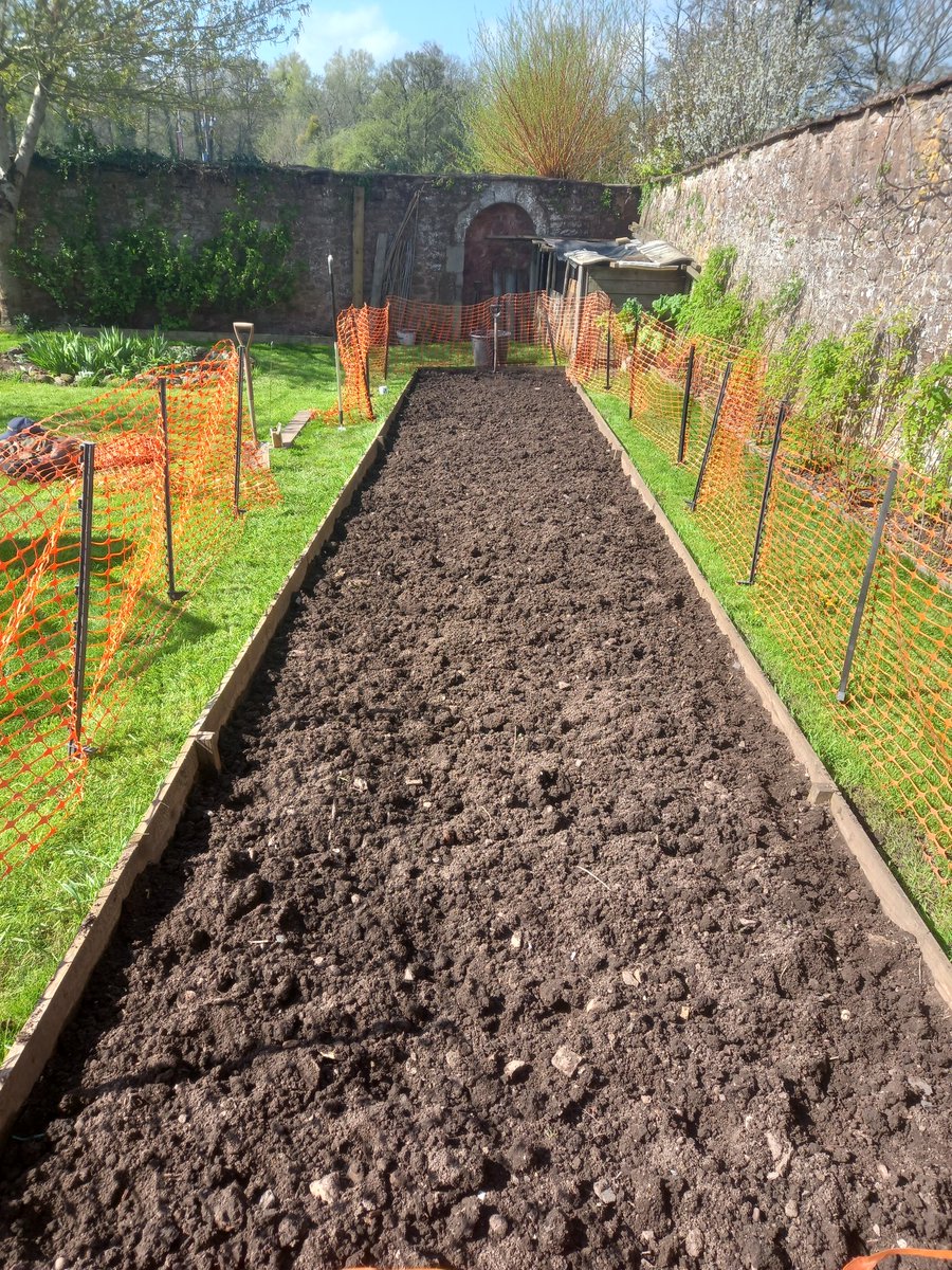 Forking over a regular customers veg plot yesterday in some glorious spring morning sunshine. 👍🏻👌🏻🙏🏻