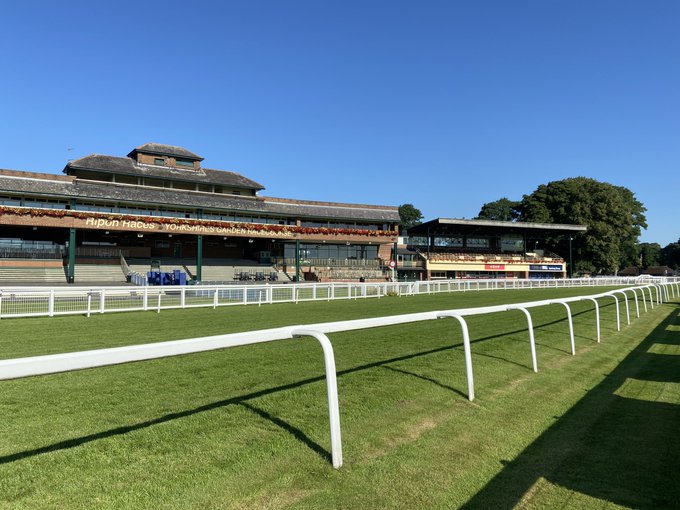 🐦Pigeon🐎Island🐦 tweet media