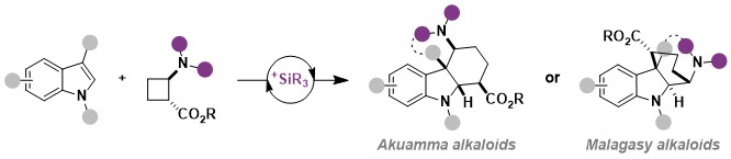 Waser Group (@lcsolab) on Twitter photo How to get two alkaloid scaffolds by combining indoles and aminocyclobutanes just by changing the temperature?
Have a look at the work of Emma <a href="/EmmaGabRobert/">Emma Robert</a> with preliminary results of Vincent and calculations by Matt now accepted <a href="/angew_chem/">Angewandte Chemie</a>
doi.org/10.1002/anie.2… How to get two alkaloid scaffolds by combining indoles and aminocyclobutanes just by changing the temperature?
Have a look at the work of Emma <a href="/EmmaGabRobert/">Emma Robert</a> with preliminary results of Vincent and calculations by Matt now accepted <a href="/angew_chem/">Angewandte Chemie</a>
doi.org/10.1002/anie.2…