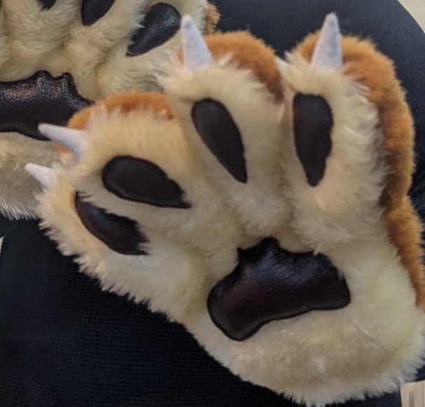 Whose fabulous paws are these? Coming soon to <a href="/medway_pride/">Medway Pride Radio</a> Radio and <a href="/PrideMedway/">Medway Pride</a> - we can't wait to meet them! 🏳️‍🌈🏳️‍⚧️🎵🎶