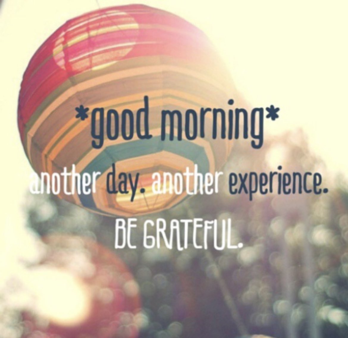 JodiLUnruh's tweet photo. Happy Wednesday! 🙏🏼💖 https://t.co/S0tKKa72hD