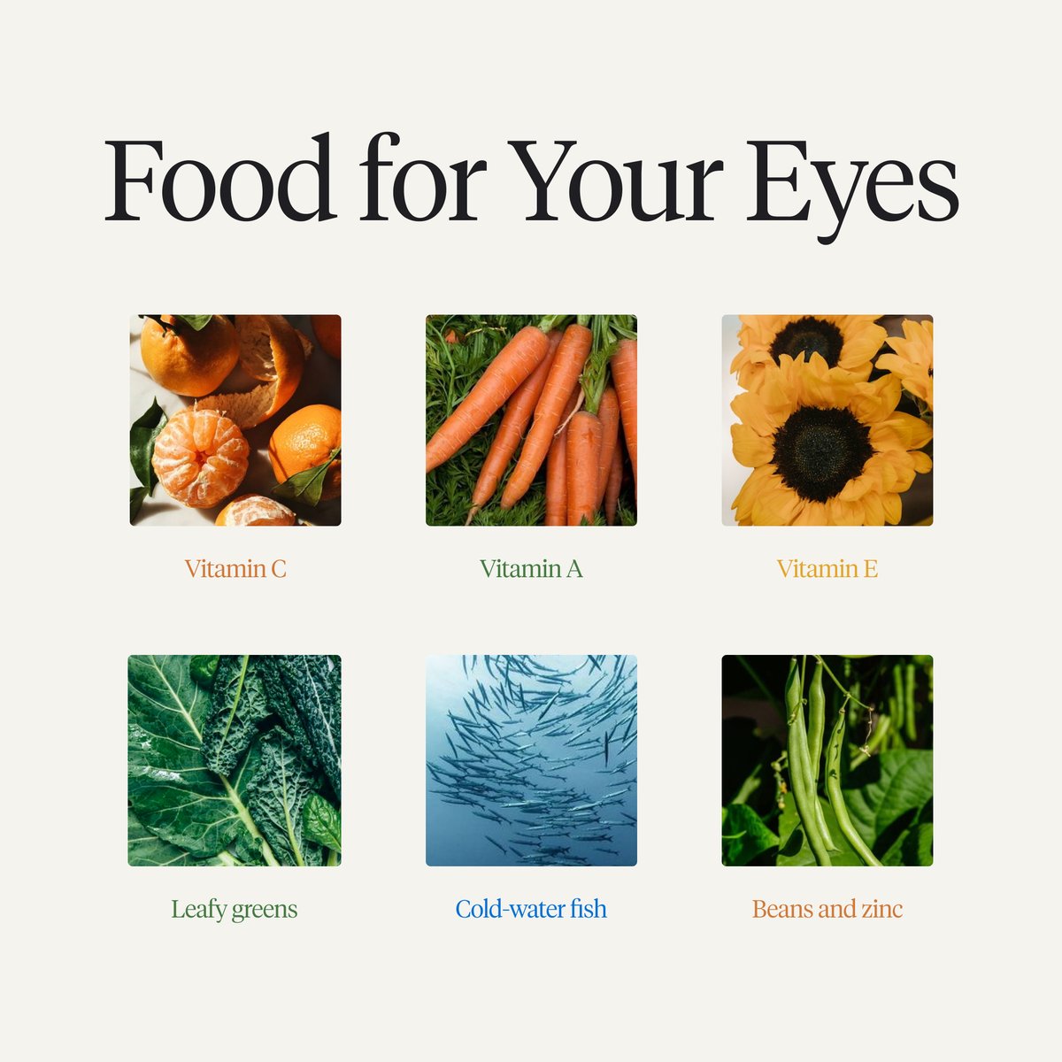 stoggles's tweet image. Feed your eyes with some healthy goodness! 🥦👀 Did you know that certain foods can help boost your eye health? Time to see the benefits of a balanced diet! #eyecare #eyehealth #eyecaretips