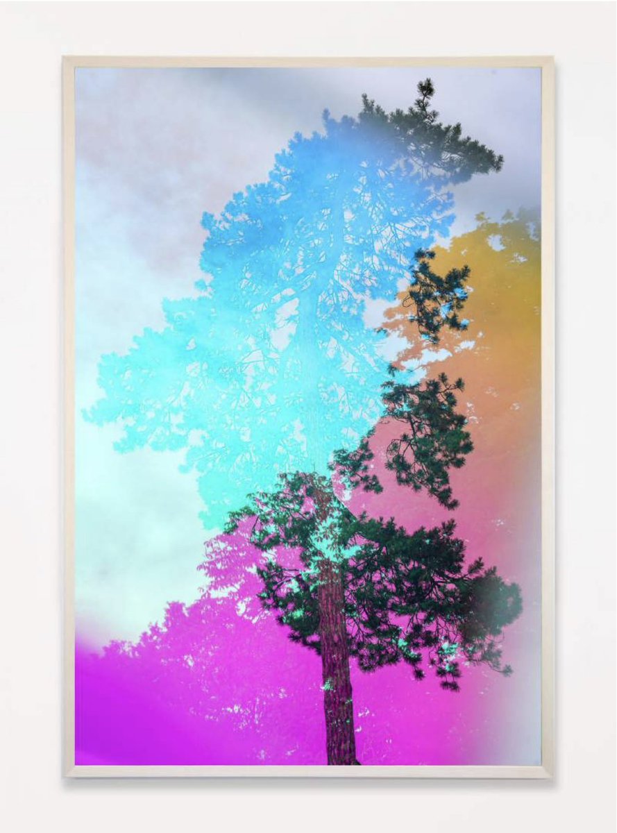 karine_laval's tweet photo. Karine Laval | Dallas Art Fair | Spring News - https://t.co/L439DfDAp3 https://t.co/xRfq58WVcv