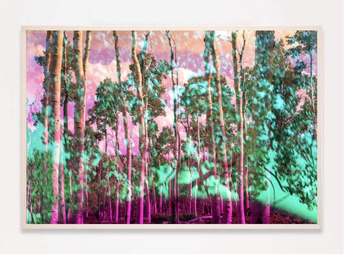 karine_laval's tweet photo. Karine Laval | Dallas Art Fair | Spring News - https://t.co/L439DfDAp3 https://t.co/xRfq58WVcv
