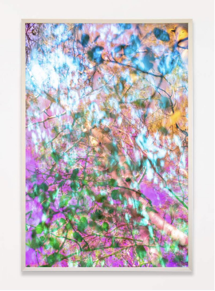 karine_laval's tweet photo. Karine Laval | Dallas Art Fair | Spring News - https://t.co/L439DfDAp3 https://t.co/xRfq58WVcv