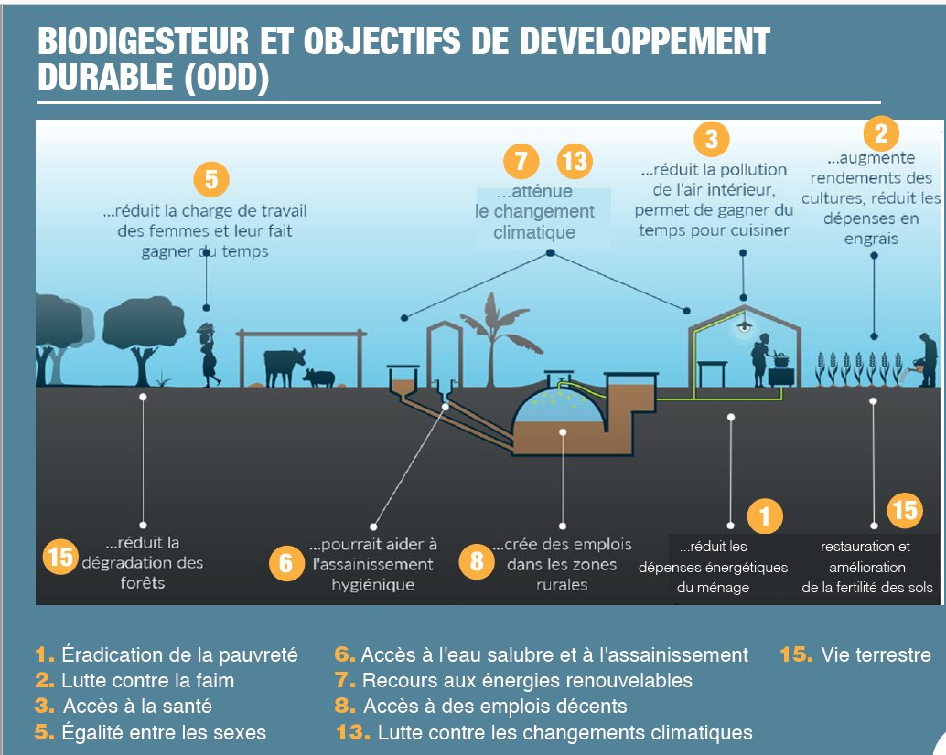 Jean Marc Sika tweet media