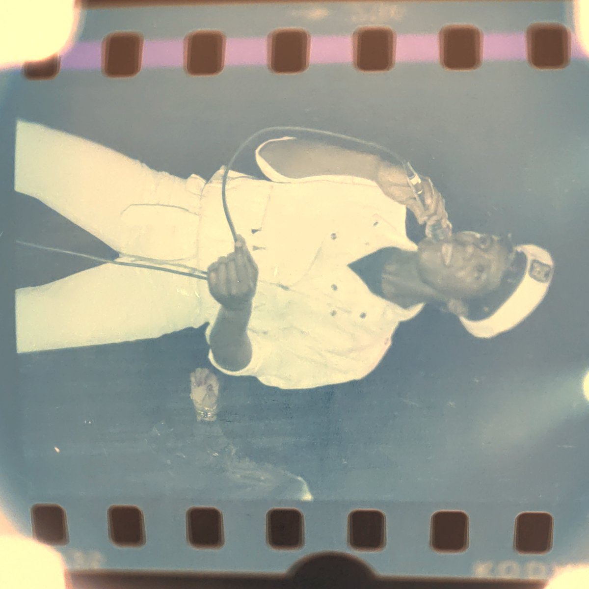 raphaël tweet media