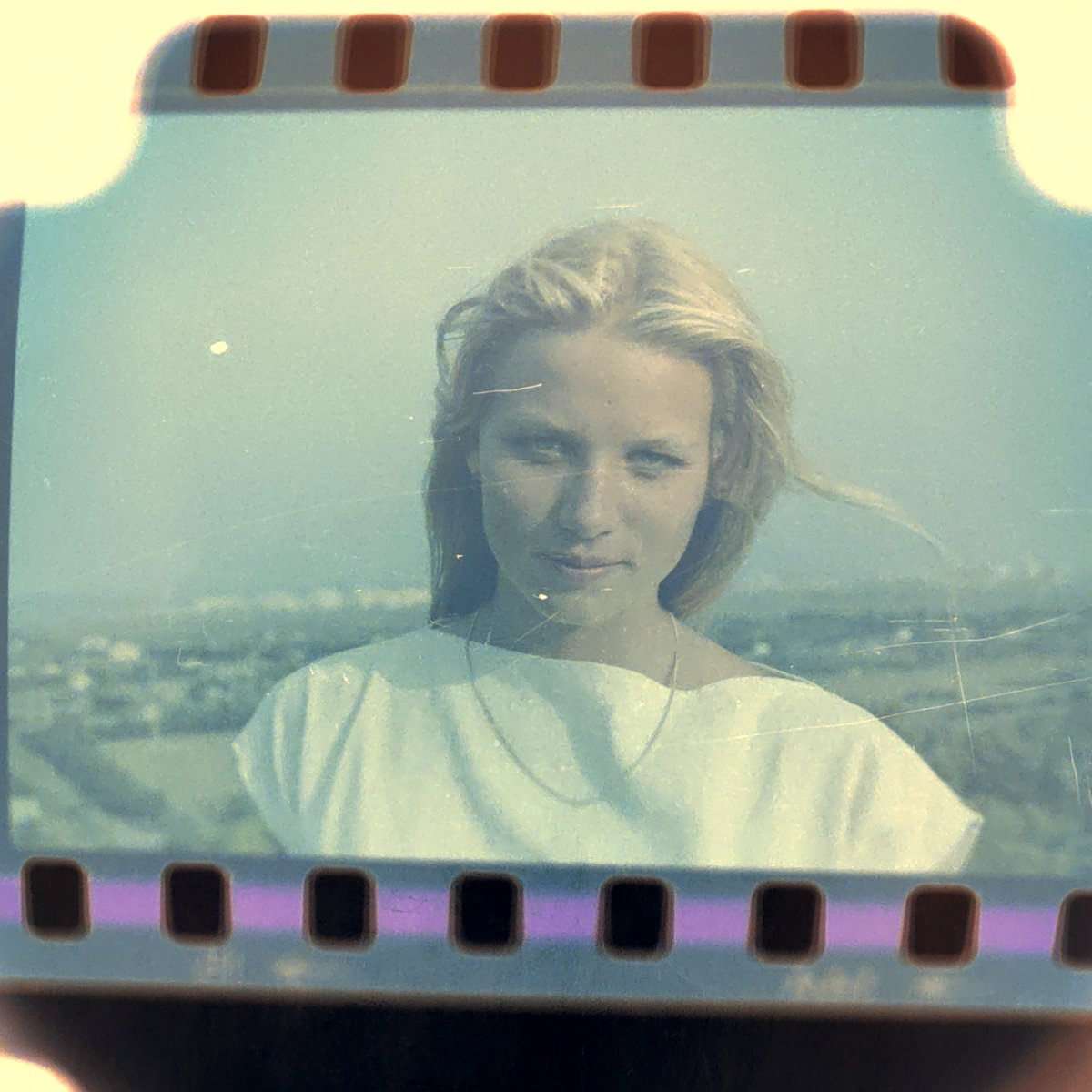 raphaël tweet media