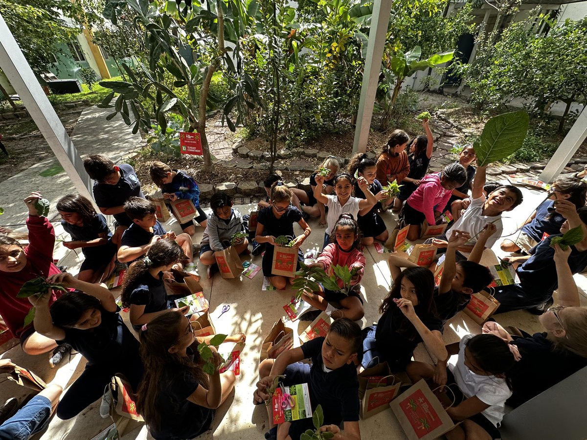 JuankyDiaz's tweet photo. This is #earthday @EducationFund #foodforrest #scavengerhunt today @STEAMDesignated @MDCPSSTEAM @MDCPSSci #coralparkelementary #thirdgrade @TLCabrera3 @SuptDotres @SecCardona #handsonscience π± #harvest #cpe π #schoolgarden https://t.co/KSRO9xrSGE