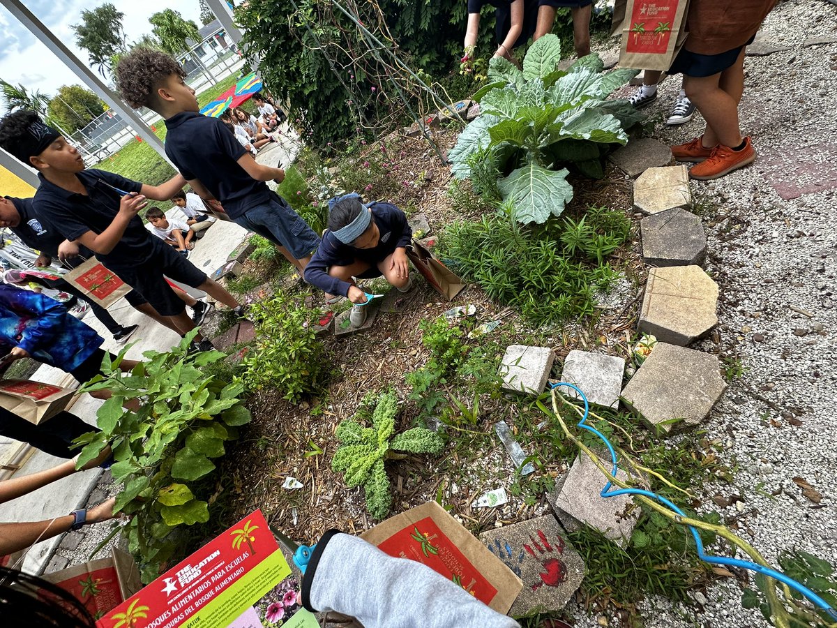 JuankyDiaz's tweet photo. This is #earthday @EducationFund #foodforrest #scavengerhunt today @STEAMDesignated @MDCPSSTEAM @MDCPSSci #coralparkelementary #thirdgrade @TLCabrera3 @SuptDotres @SecCardona #handsonscience π± #harvest #cpe π #schoolgarden https://t.co/KSRO9xrSGE