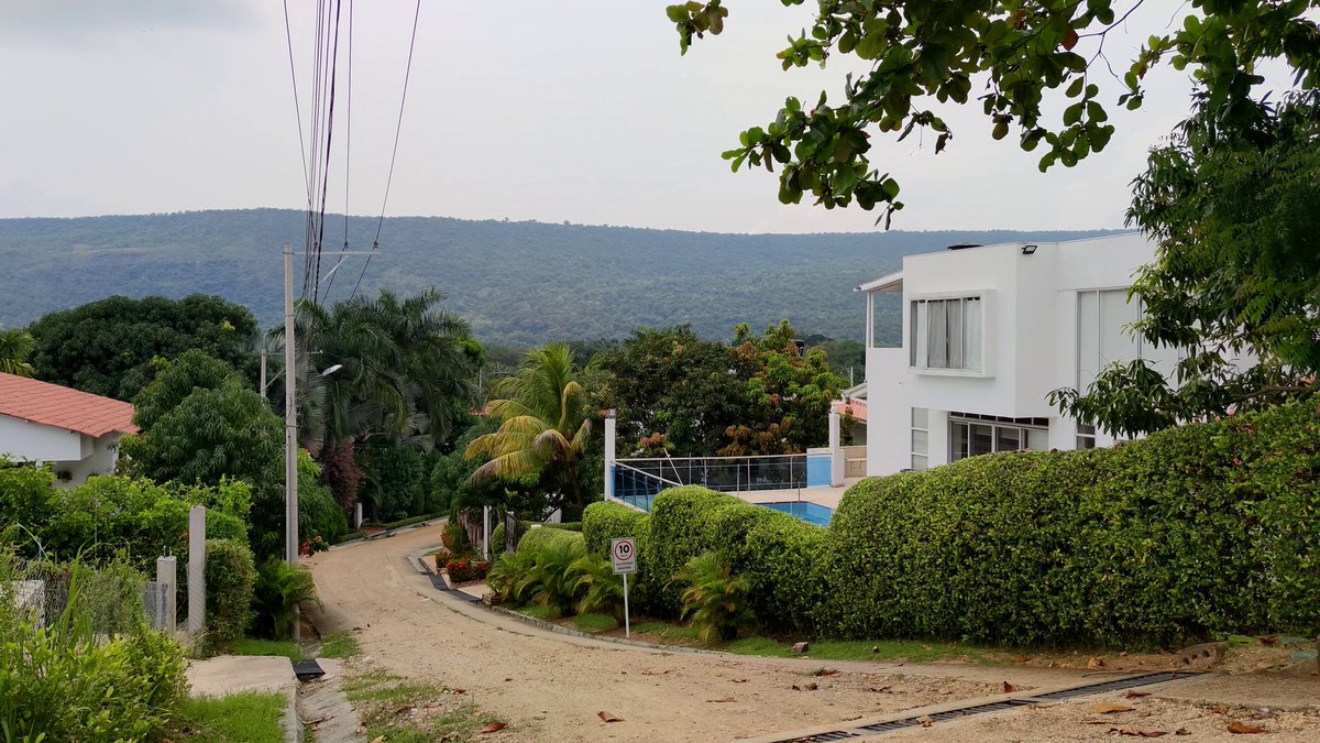 Alejandro_AT__'s tweet image. Freestyle Session #01 - Alejandro AT 💔🔥 HOY 19 DE ABRIL ⚠️ 7:45 PM 🇨🇴 21:45 🇧🇷 Atentos todos!!!🎤💥💣
#AlejandroAT #ATG4MER #spotifycolombia #spotifymedellin #spotifybogota #bogotaenelmapa #bogotáenelmapa #music