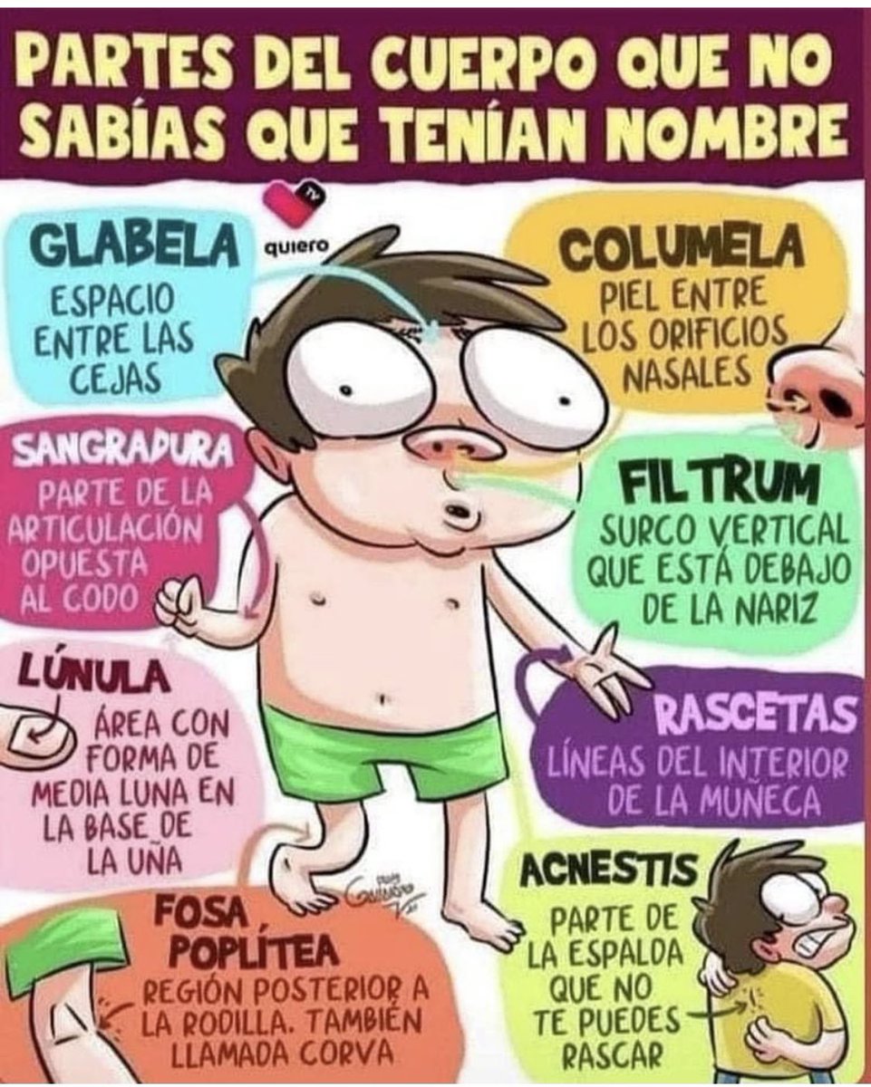 radiomuneraspm's tweet photo. Datos curiosos de nombres de algunas partes del cuerpo que seguramente no conocías! https://t.co/F4mUEB7LRT