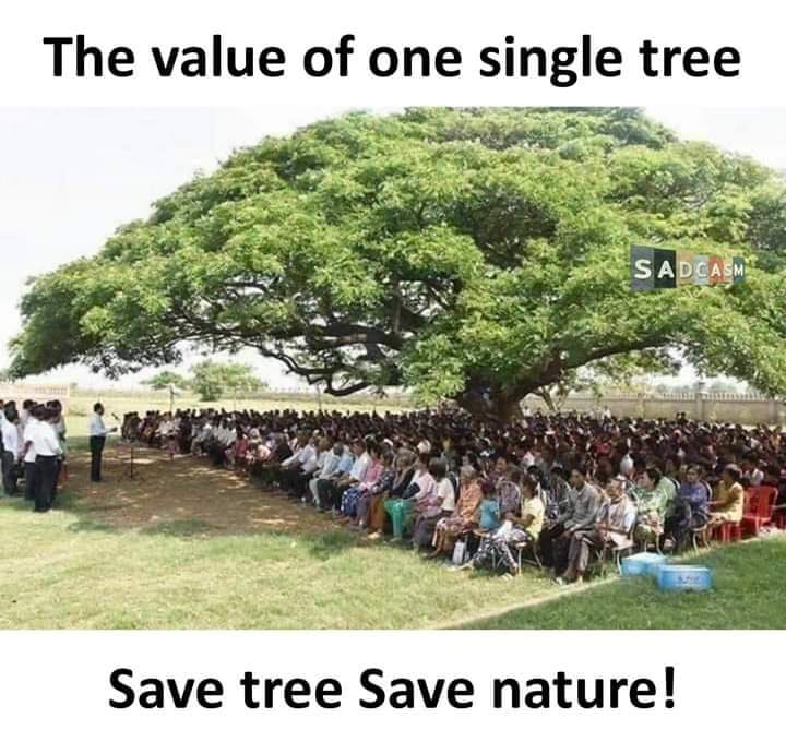 Ksushilkumar3's tweet photo. #Save_tree https://t.co/pbSVZx3B8B