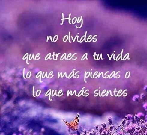 1maridieguez's tweet photo. https://t.co/sNDpz63qc6