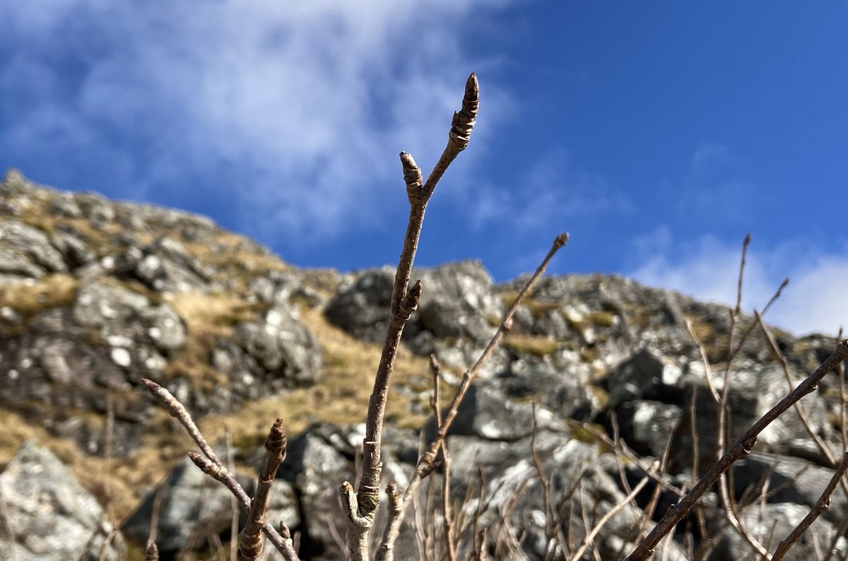 John King tweet media