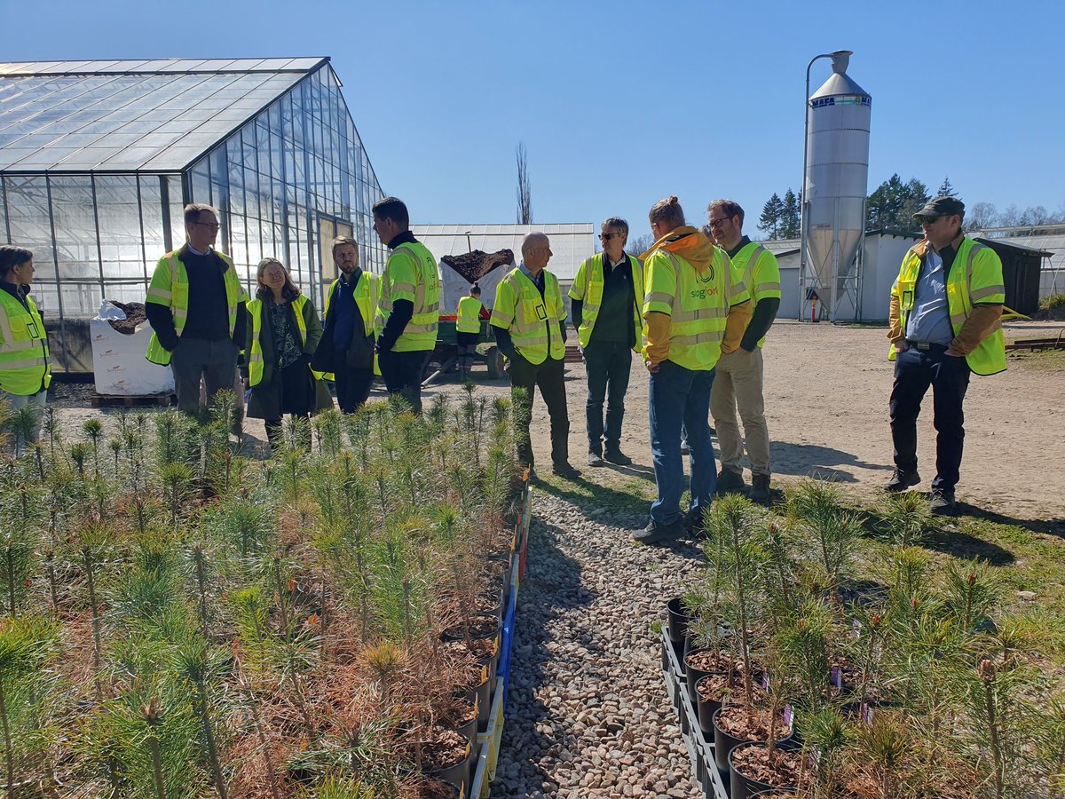 Johanna Witzell tweet media