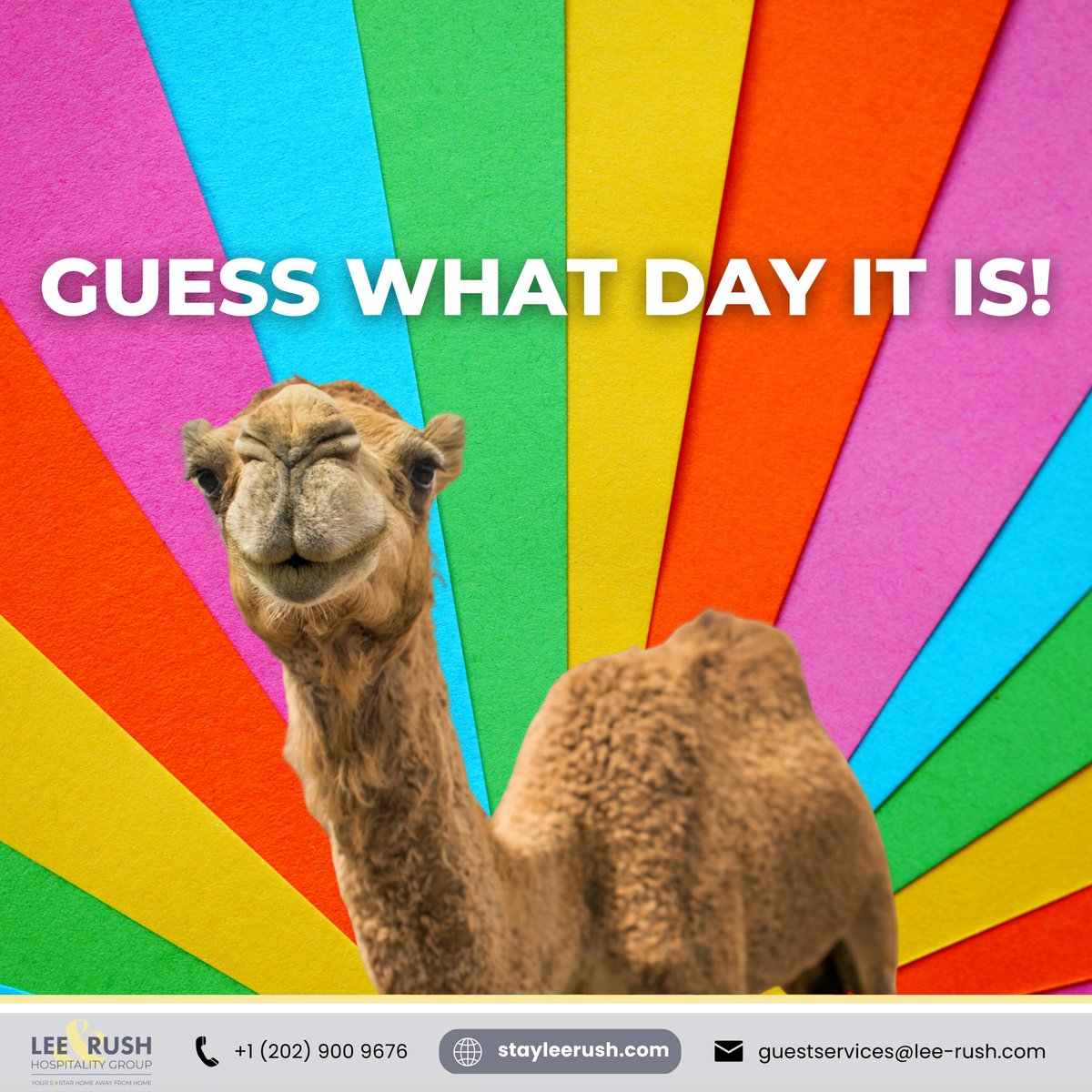 StayLeeRush's tweet photo. Happy Hump Day!

It’s Wednesday and you’re halfway to the weekend! What else are you grateful for today?

If you’re thinking of a weekend getaway, come to DC and stay at one of our home-away-from-home apartments. Book now at https://t.co/7CJkaAfIe3.

#stayleerush #humpday https://t.co/Yu8IqnWZOg
