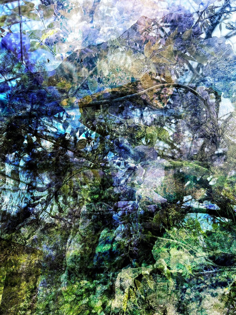 ideasrex's tweet photo. Inner becomes outer as everything breathes with new enthusiasm, a potentiality that Spring brings as the Eagle circles connecting the lines with the dots for living within the confines of dimension means constant fluidity, reinventing, striving #ideasrex #irinaideas #photoco… https://t.co/nxL7f6x8bg