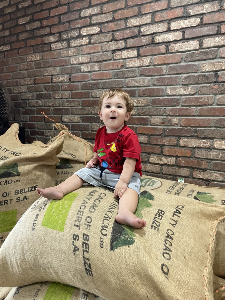 WickedBOLD's tweet photo. You ever ridden a 120 pound sack of Organic Belizean Cacao before? It's a wild ride baby. https://t.co/Zb5ohMuTaH