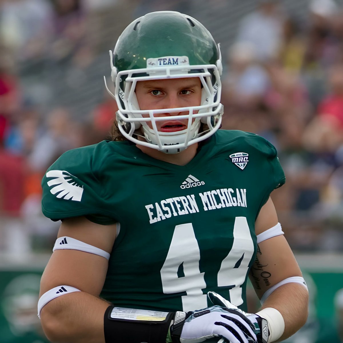 Expo Recruits tweet media