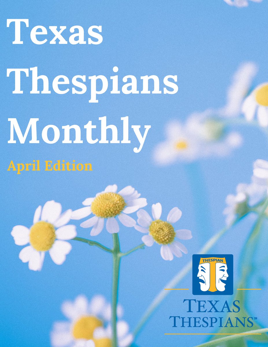 Texas STO tweet media