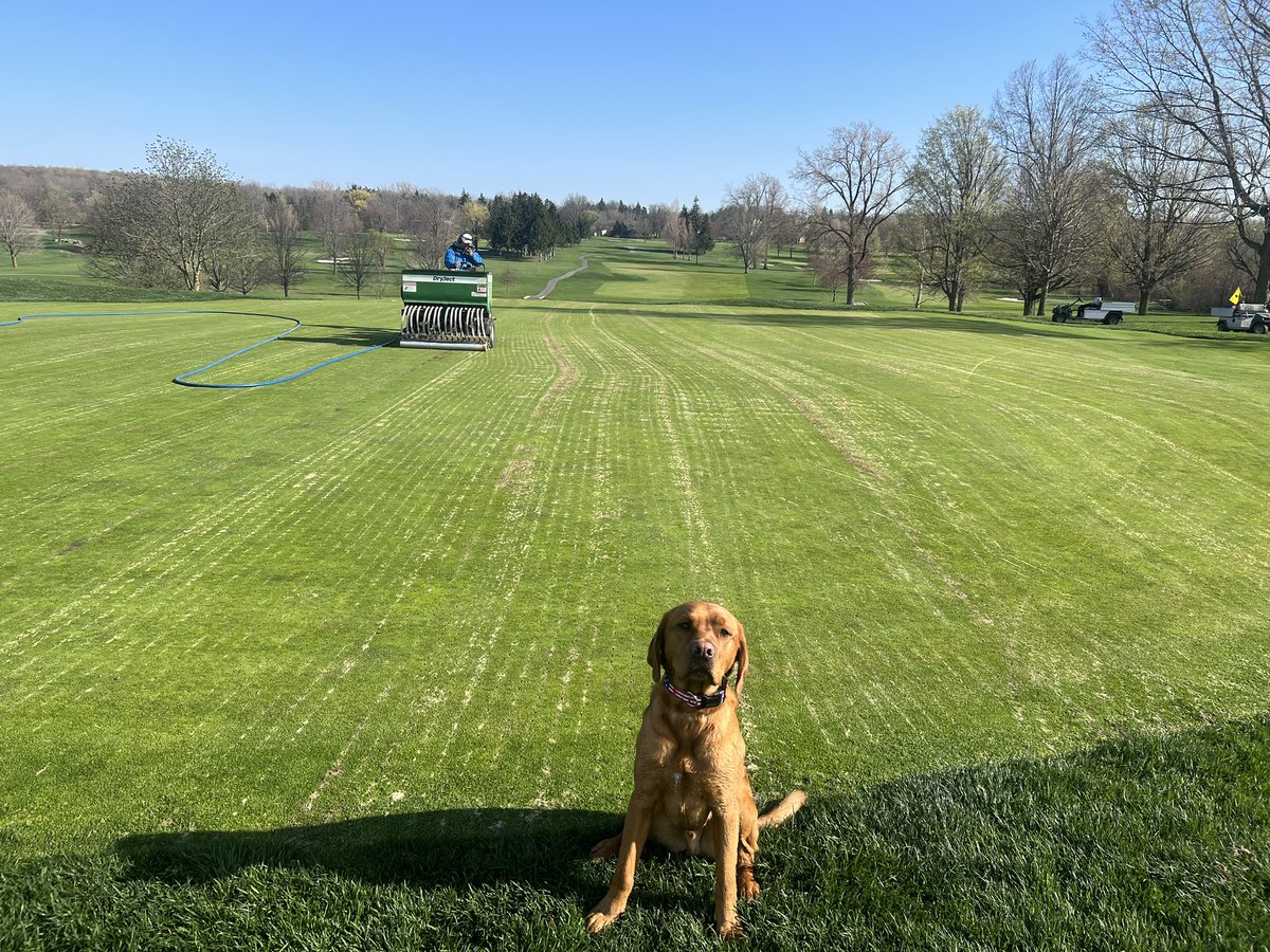 Scott Hans, CGCS ⛳️ tweet media