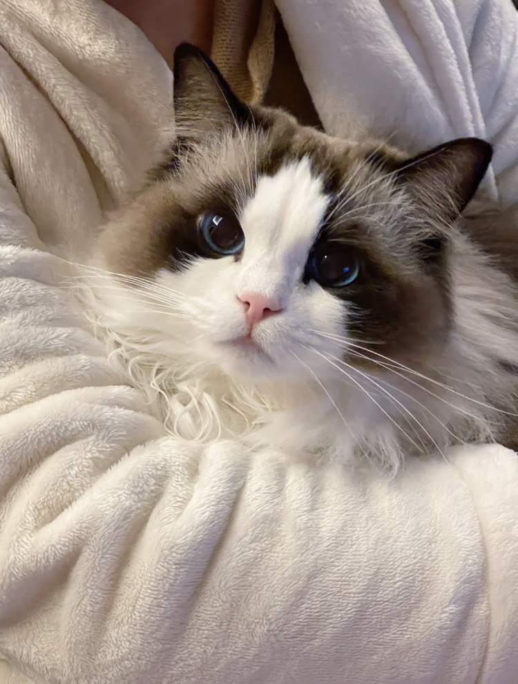 There are some things that we cannot understand when we are young, but when we understand it, we are no longer young.