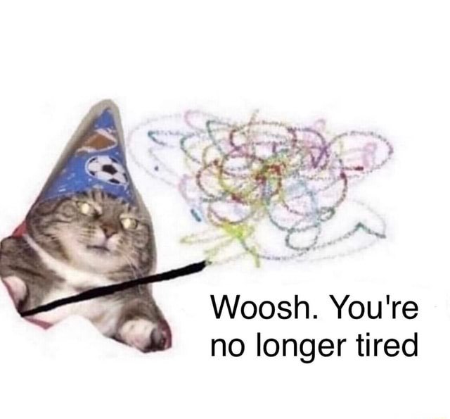 smol silly cat (@catsillyness) on Twitter photo 