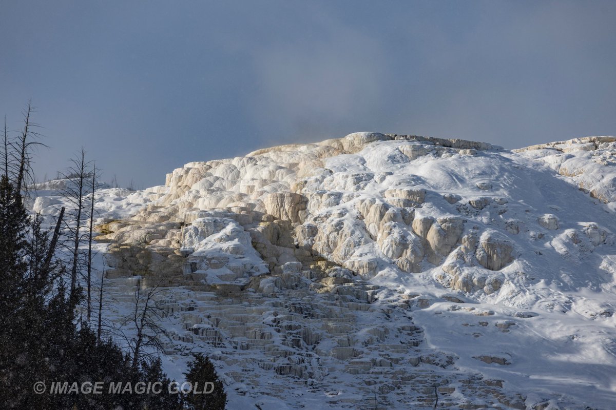 Capt. Cris tweet media