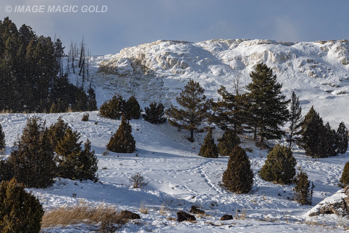 Capt. Cris tweet media