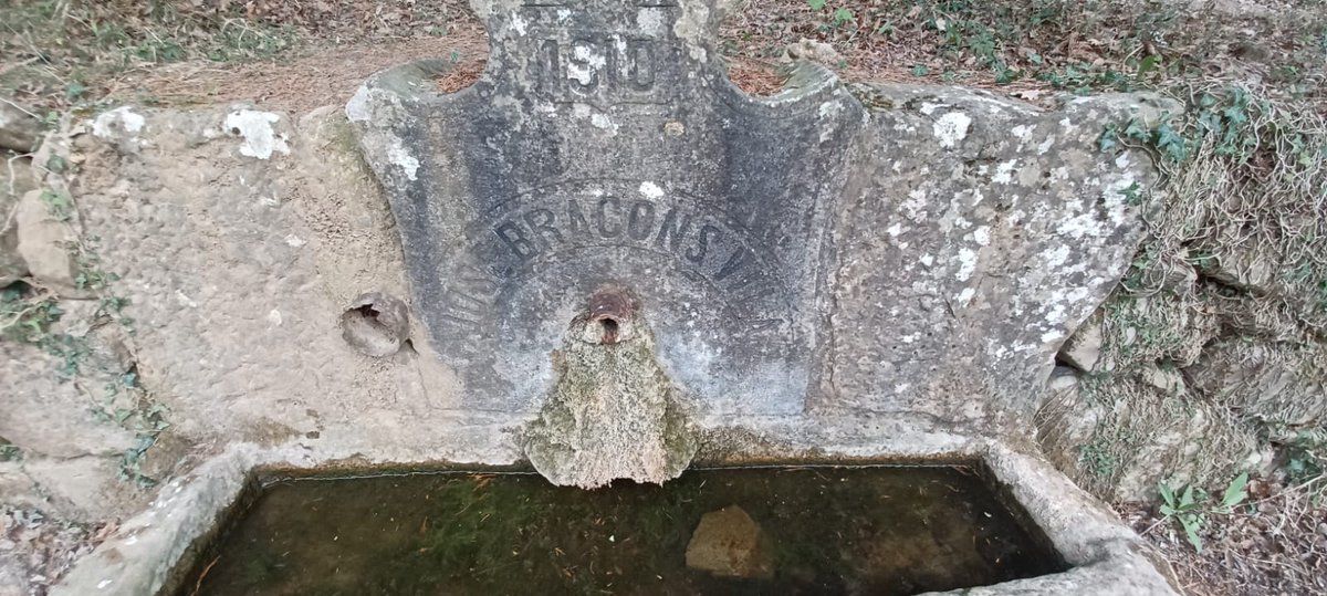 Pescallunes75's tweet photo. Així afecta la sequera a les fonts d'#Osona. Avui, de 3 a 4 vegades menys aigua de la habitual en la majoria de fonts que @CCOsona mostreja semestralment, fins a l'extrem de trigar gairebé 4 minuts i mig, gota a gota, a la font del Castell. Deixant a banda les que no ragen...😢 https://t.co/yhiazOz8O6