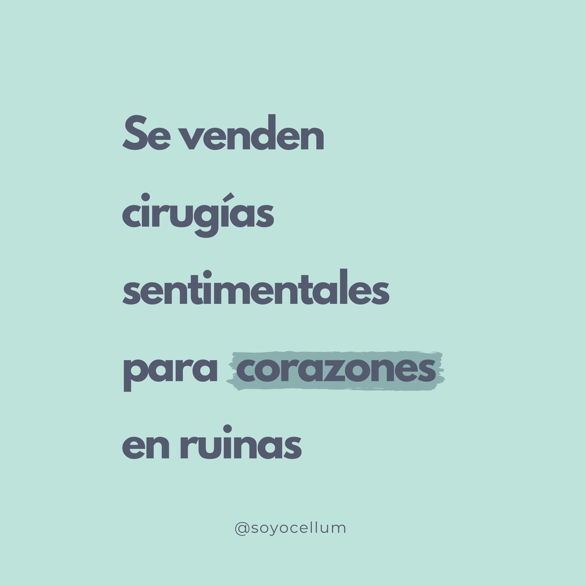 ø — Ocellum❞ tweet media