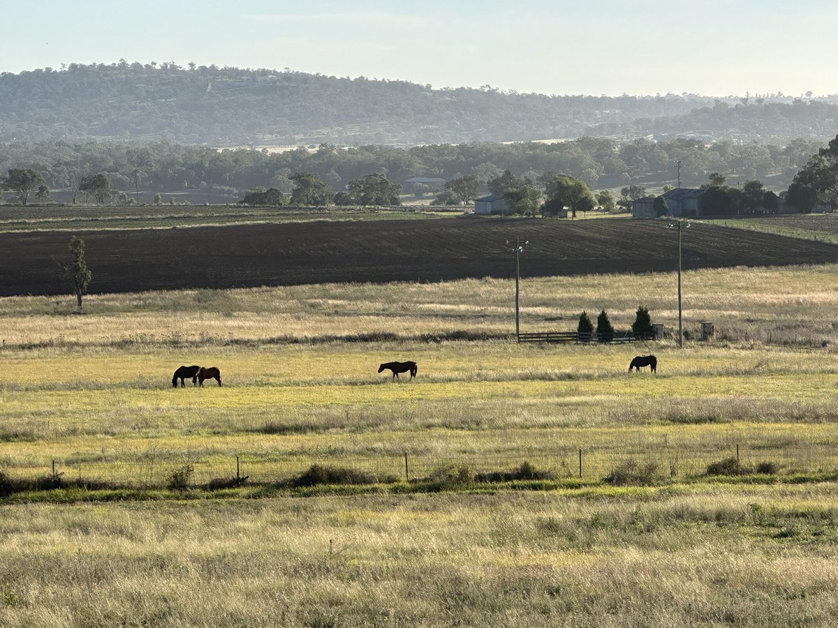 Sherrill Stivano tweet media