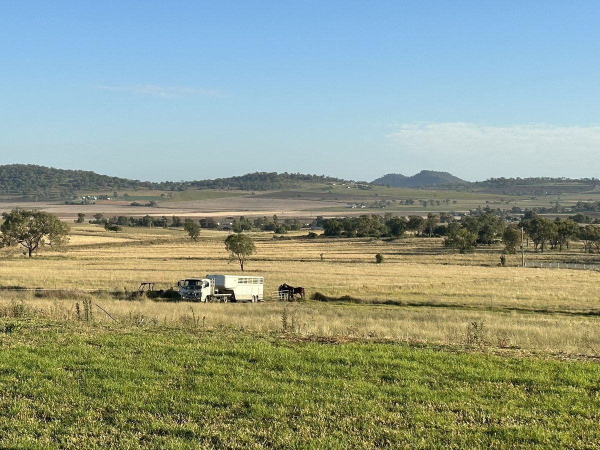 Sherrill Stivano tweet media