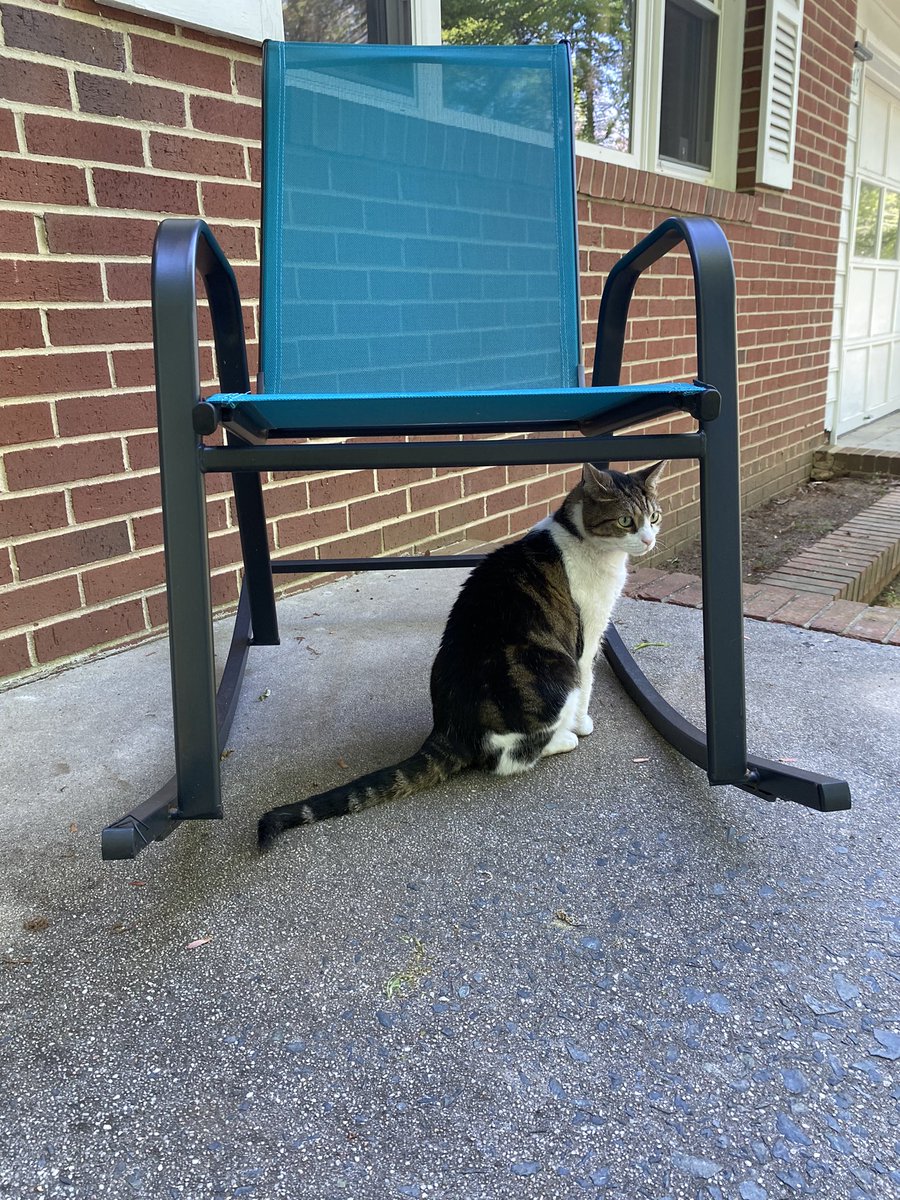 My cat bullies me into taking him outside every day after work now and honestly I can’t blame him