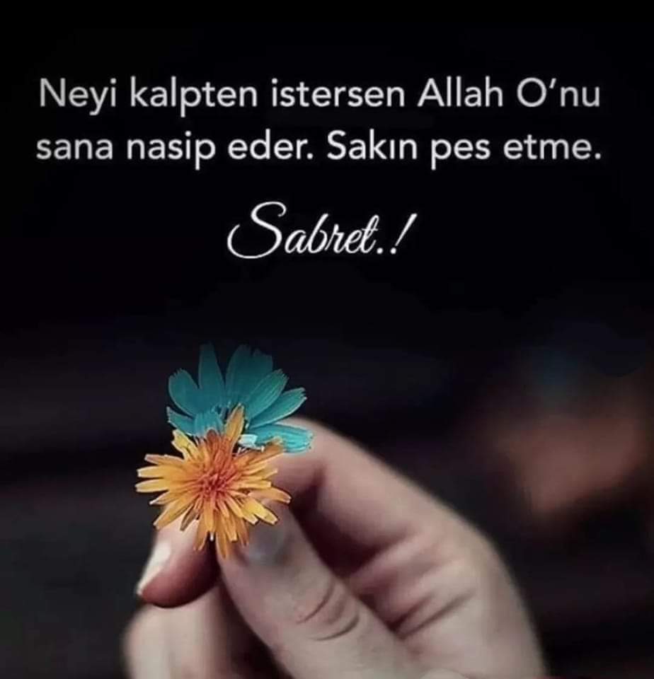 Sevgili Mayıs,
Mucizelerle gel...🕊