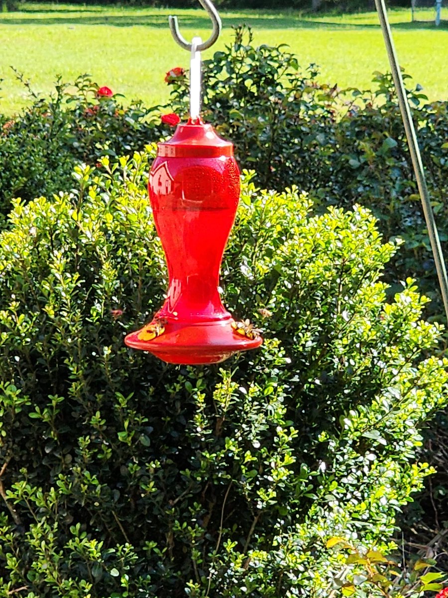Not a hummingbird feeder today. It's a honeybee feeder. Hard to see the swarm.